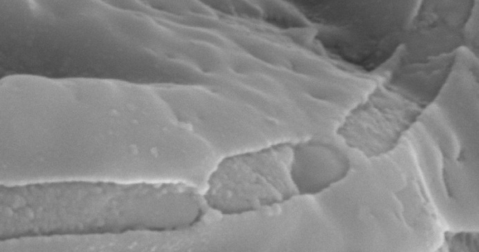 3 billion-year-old fossils show early microbes lived in cavities